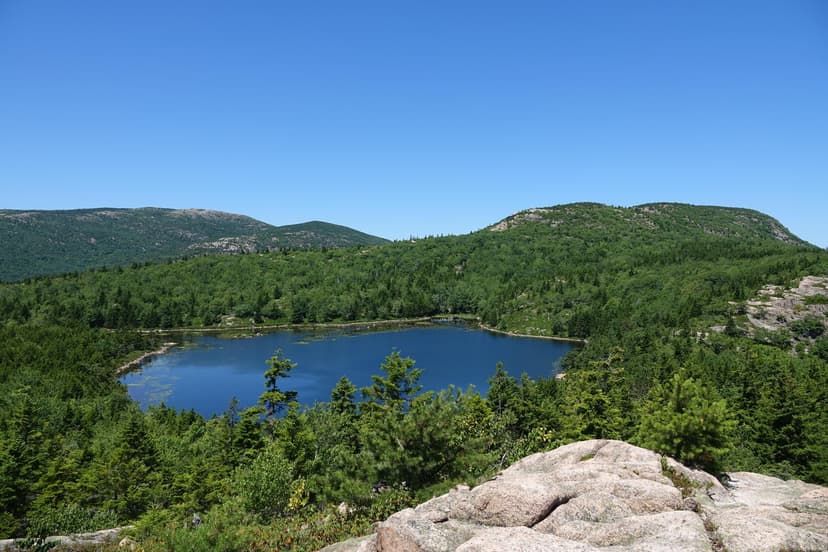Camping in Acadia: Blackwoods, Seawall and How to Get a Site