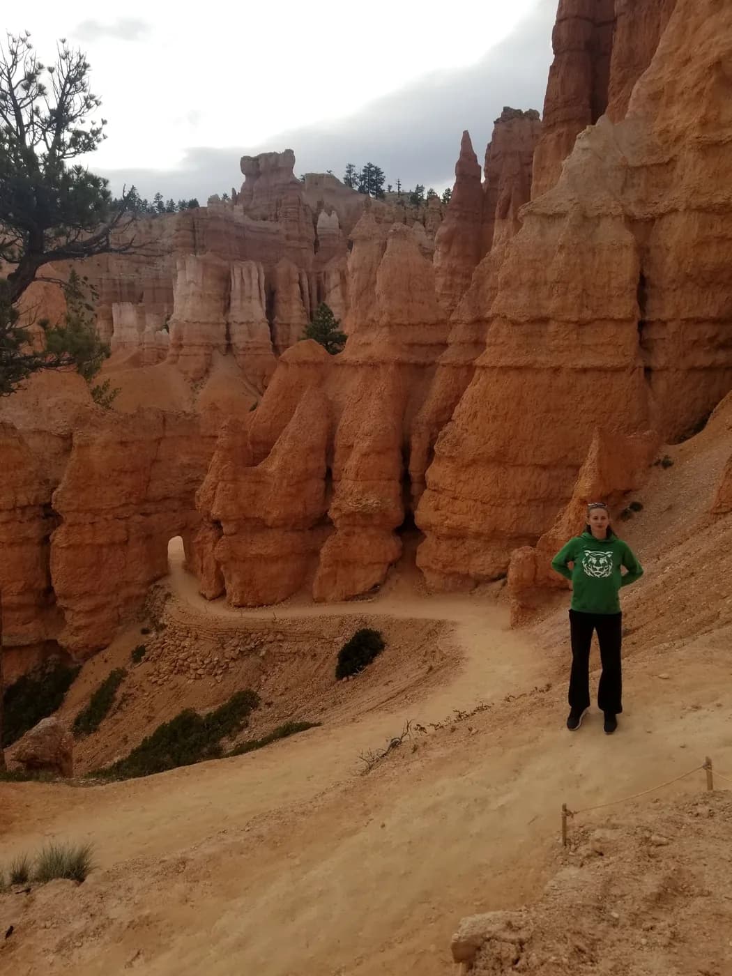 One Day in Bryce Canyon: The Figure 8 and the Easy Hikes