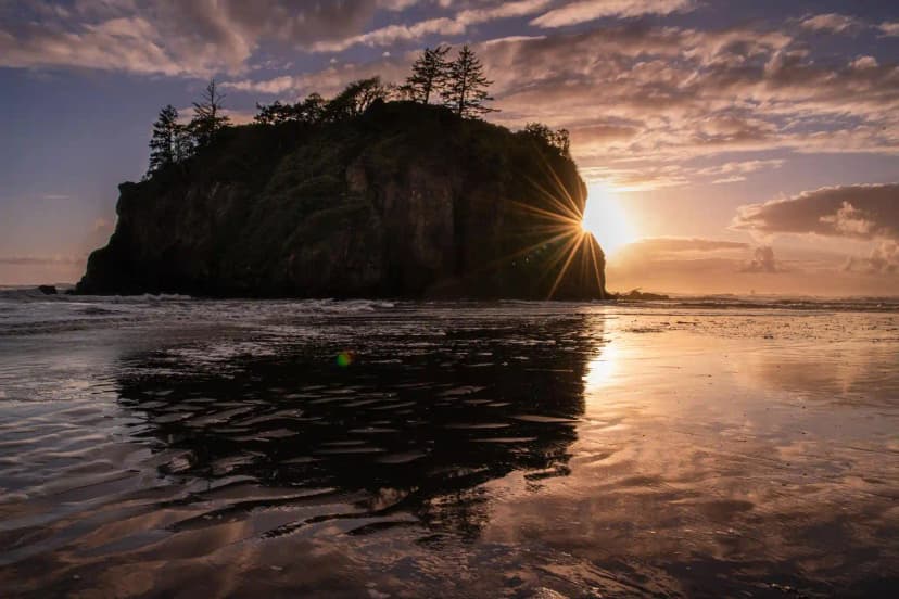 Mount Rainier and Olympic National Park: How to Combine Them