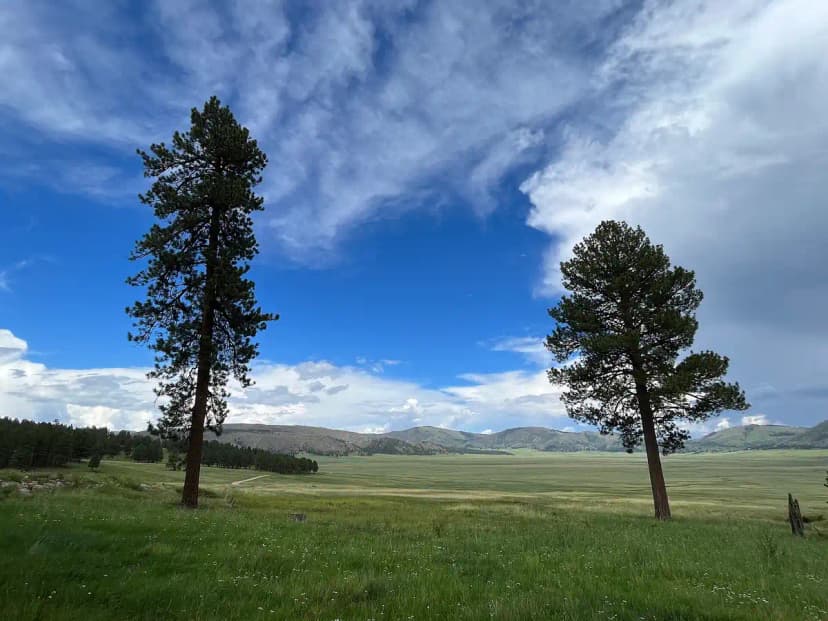 Best Time to Visit Valles Caldera: A Season-by-Season Guide