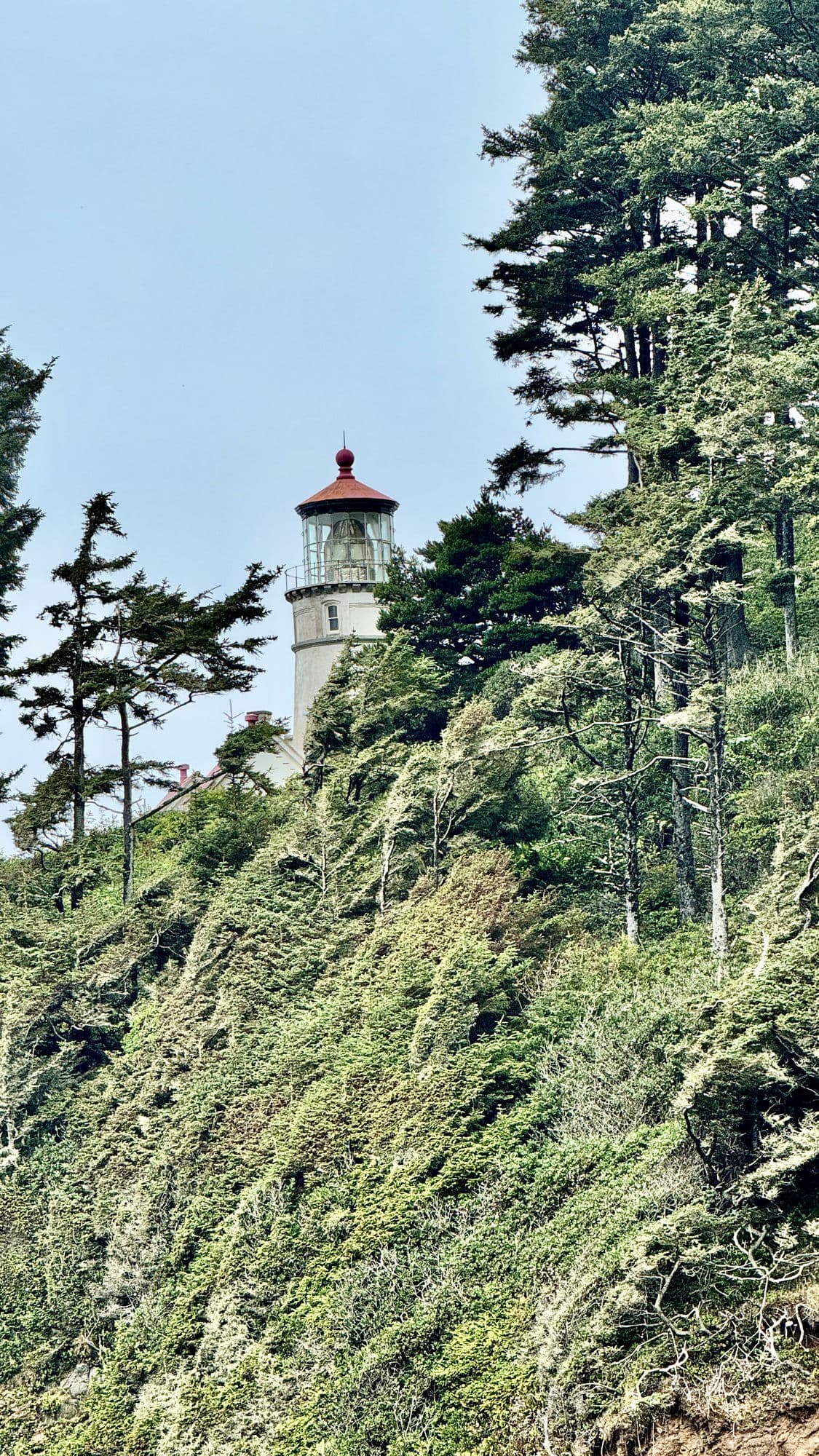 The Best Towns on the Oregon Coast: A Town-by-Town Guide