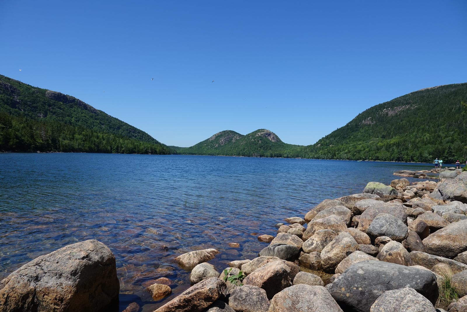 Bubble Rock, Acadia: The Balanced Boulder and the Hike Up