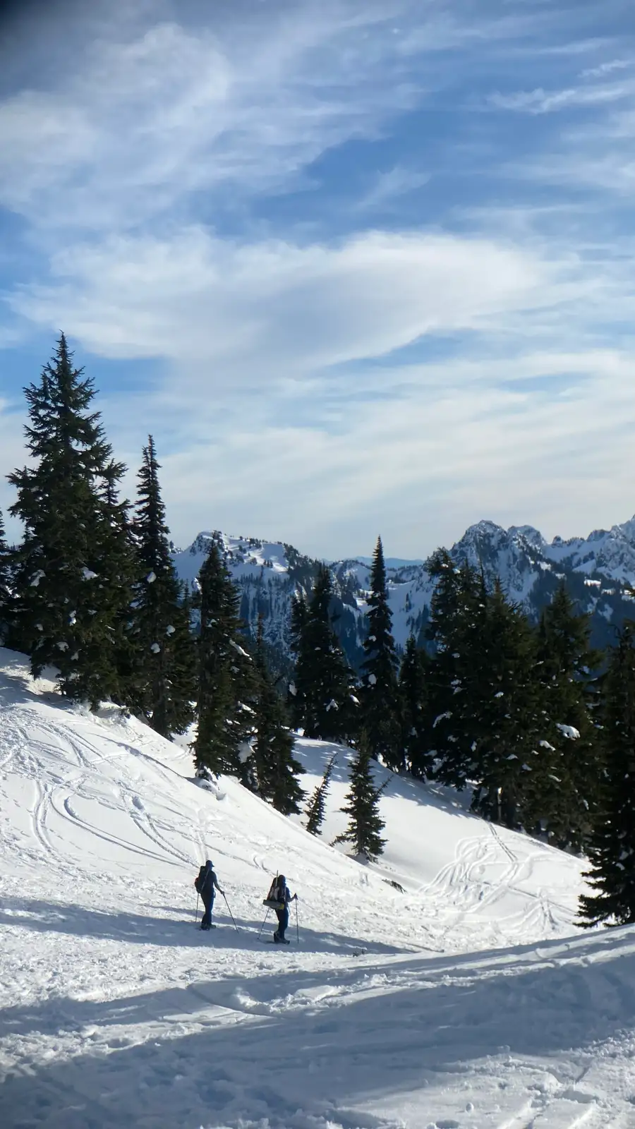 Snow covered peaks above old growth forest near Cougar Rock Campground in Mount Rainier National Park Snow covered peaks above old growth forest near Cougar Rock Campground in Mount Rainier National Park