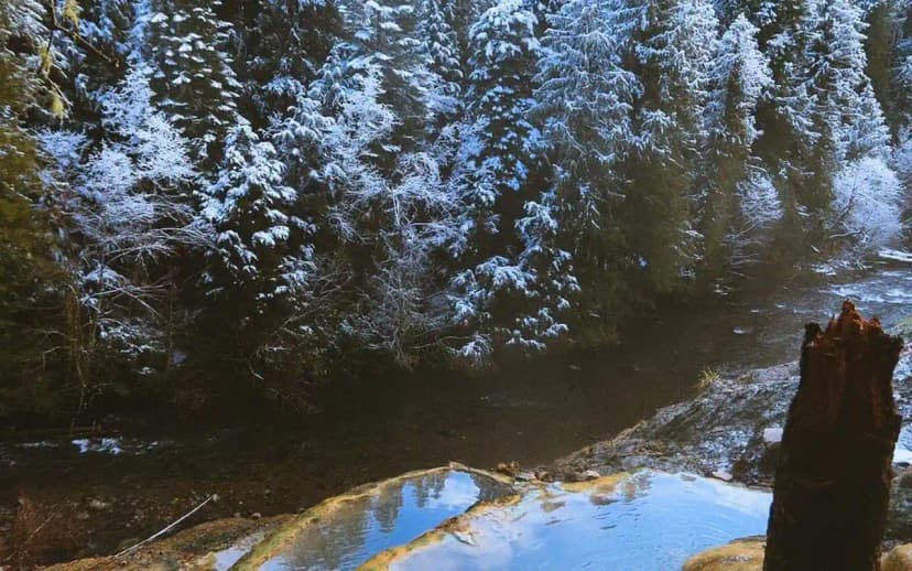 Oregon Coast Hot Springs: Where to Soak Near the Coast