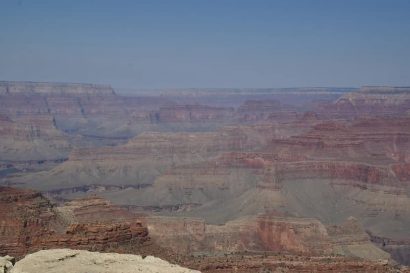 Grand Canyon Mule Rides from the South Rim