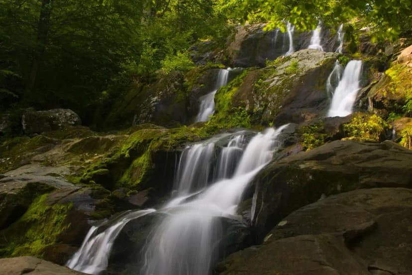 Appalachian Trail for Beginners: Your First AT Section Hike
