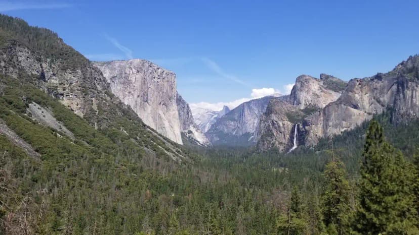 Fall Colors in Yosemite National Park: Peak Weeks and Best Spots