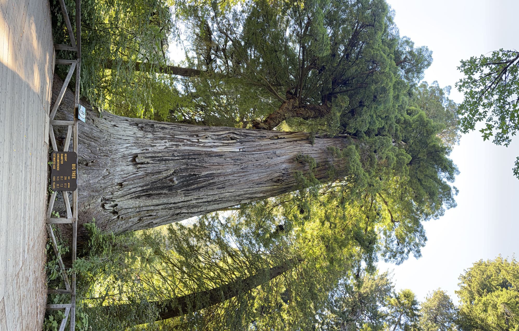 Gifts for Outdoorsy People: 25 Ideas They Will Actually Use