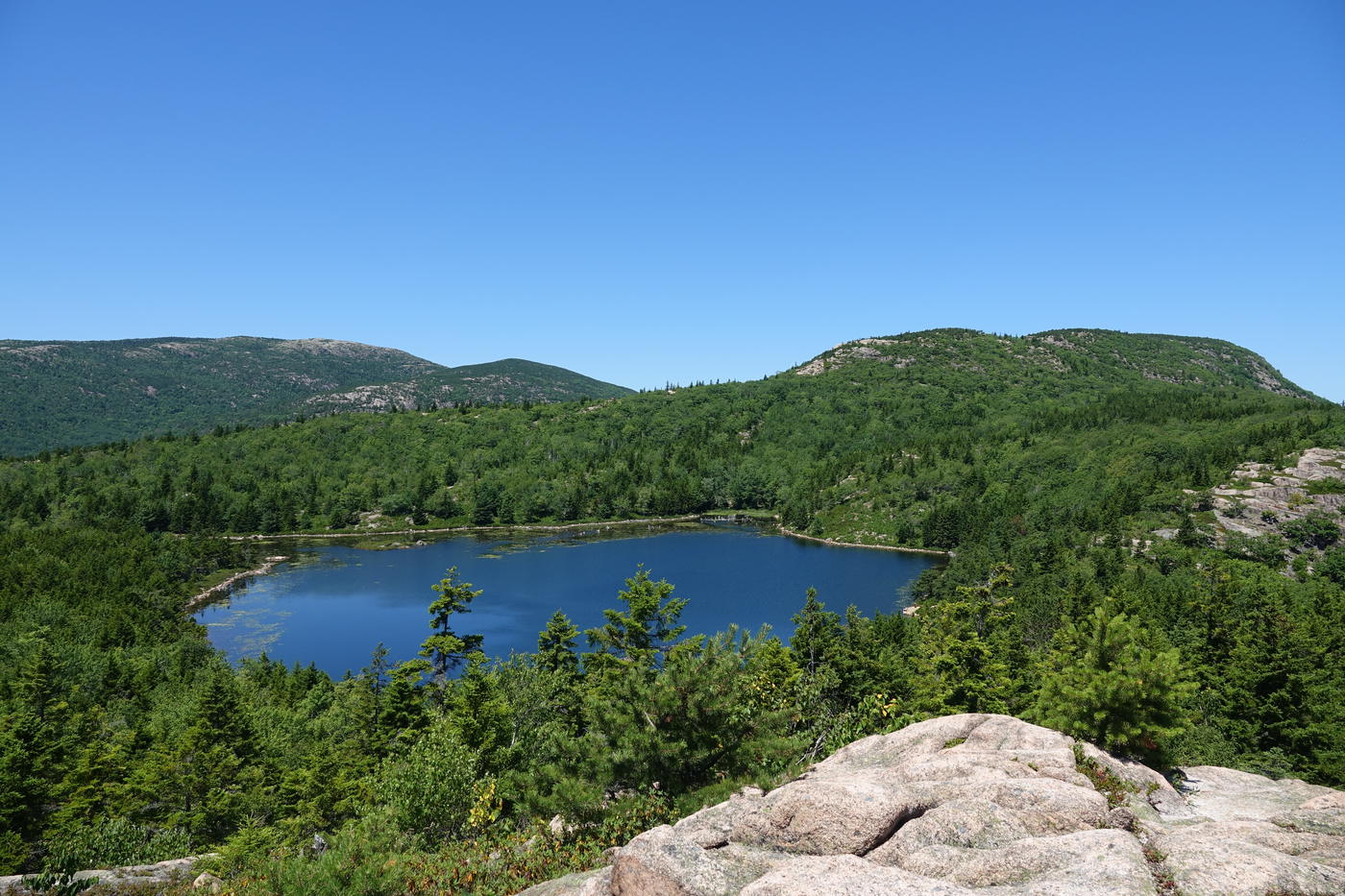 A quiet pond ringed by spruce forest in Acadia National Park, Maine