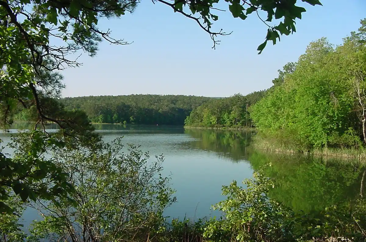 Drive into the Ouachita National Forest