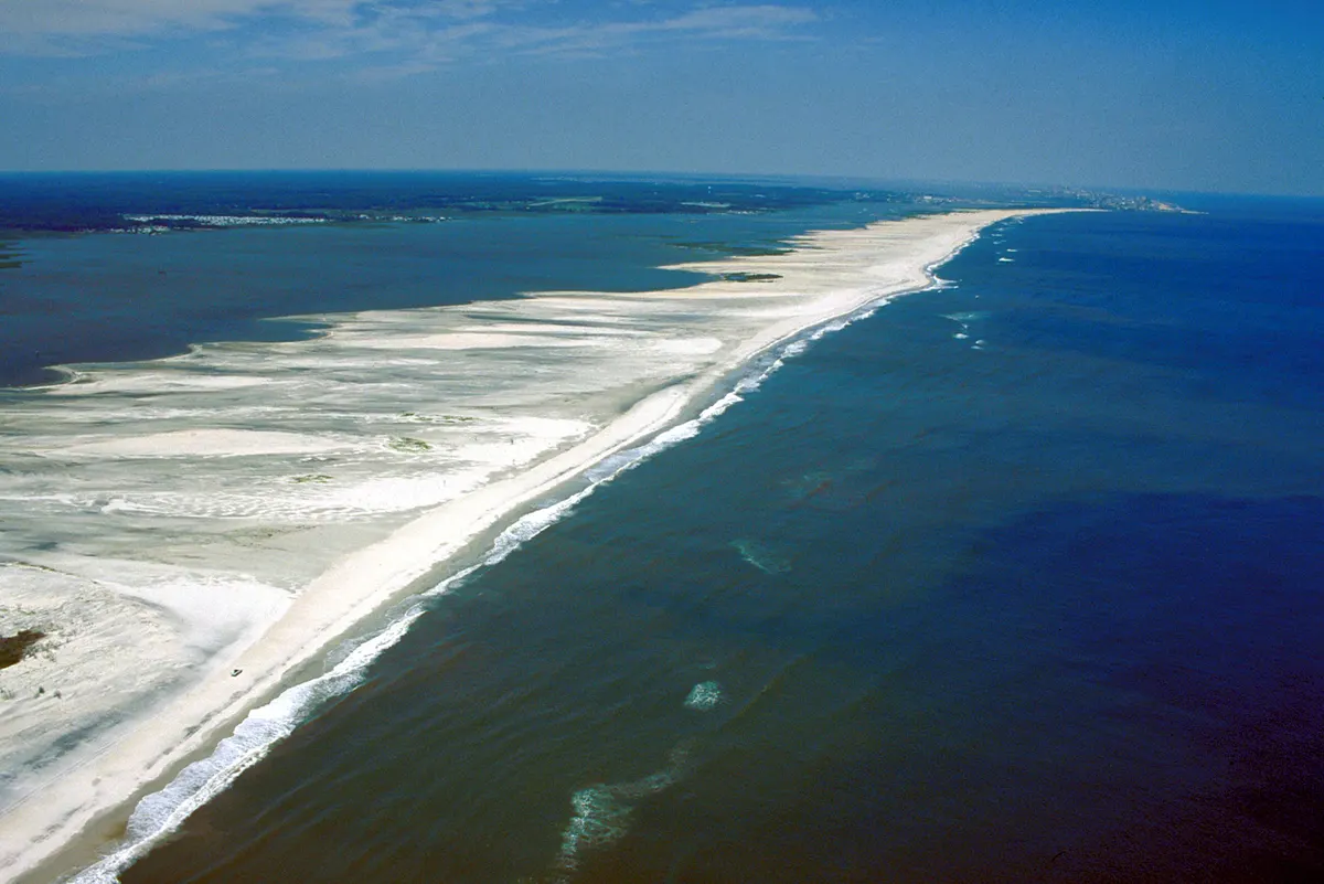 Beachcomb, birdwatch & swim