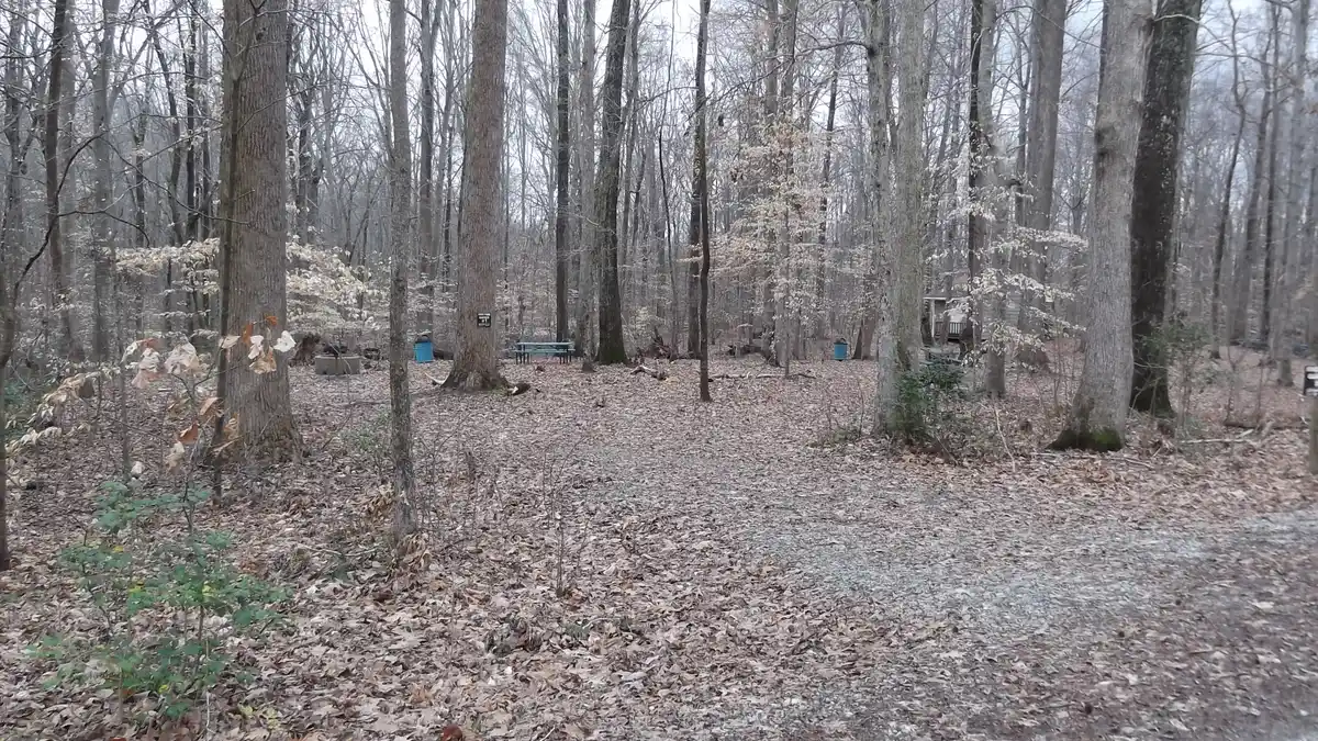 Cabin or campsite at Lake Fausse Pointe