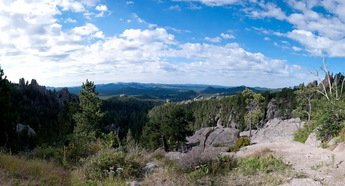 Needles Highway (SD-87)