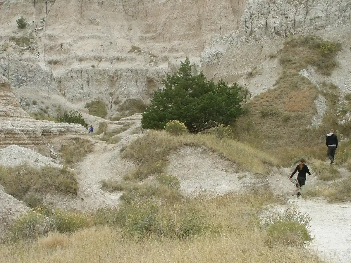 Notch Trail · log ladder & canyon views