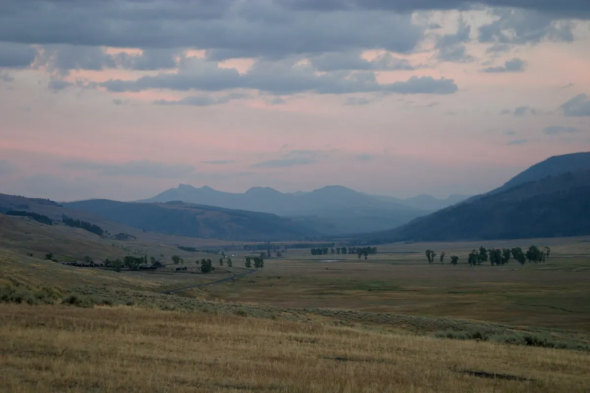 Lamar Valley wildlife drive