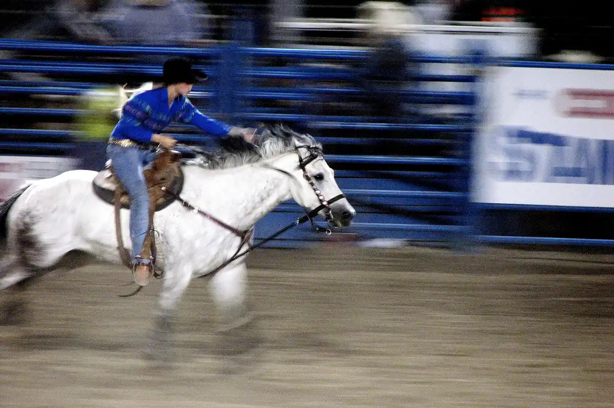 Cody Nite Rodeo (seasonal, optional)