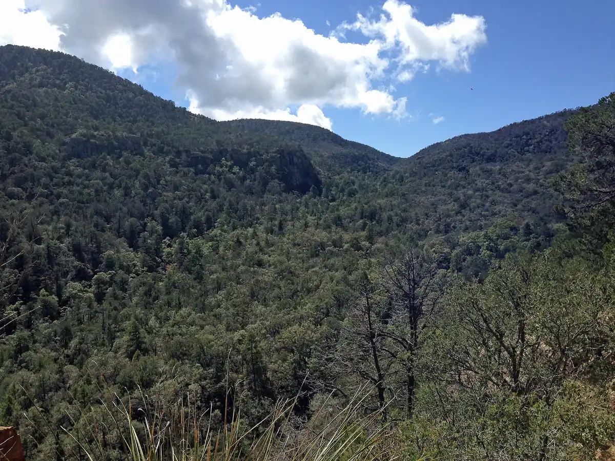 Descend via Boot Canyon