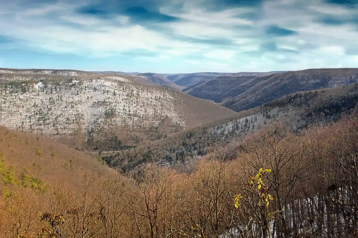Black Creek Trail · the backpack out