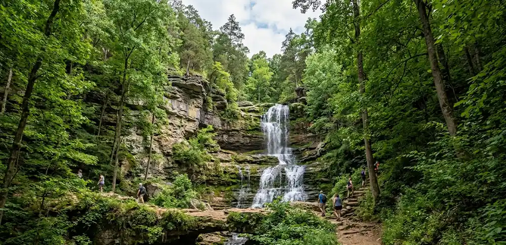 Cypress and tupelo forest along Black Creek
