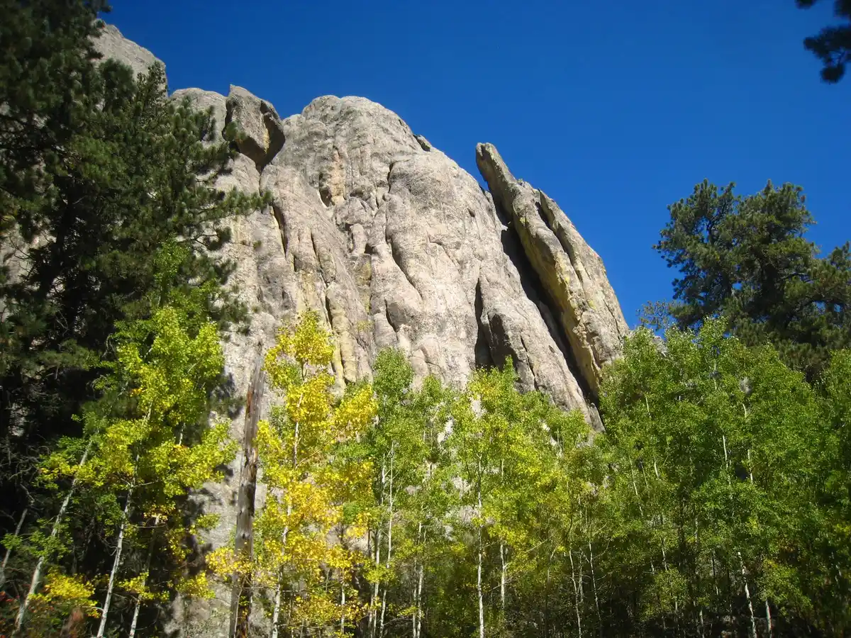 Summit Black Elk Peak (7,242 ft)