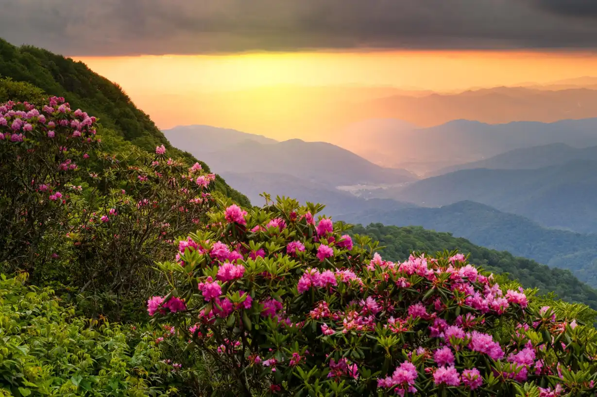 Prevent Blisters When Hiking