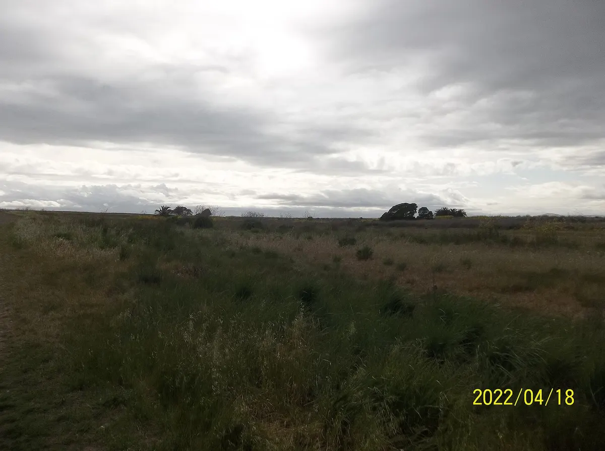 Trail #201 to the Lick Creek Trail junction