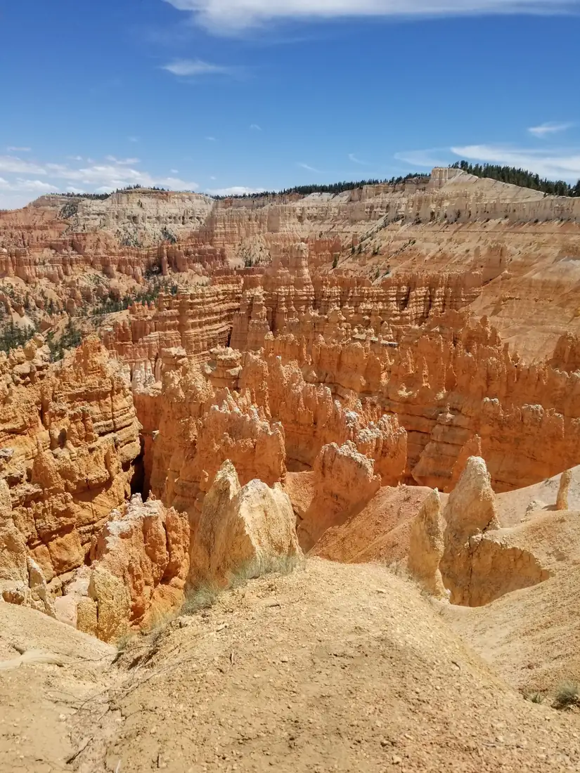 Rows of orange hoodoos filling the Bryce Canyon amphitheatre