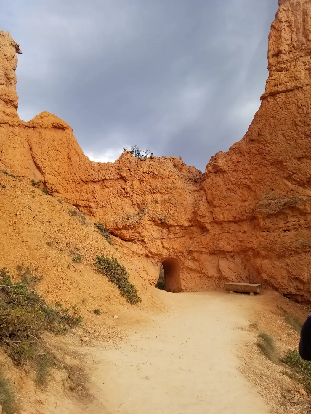 A hiker-sized tunnel cut through orange rock on the Queens Garden Trail