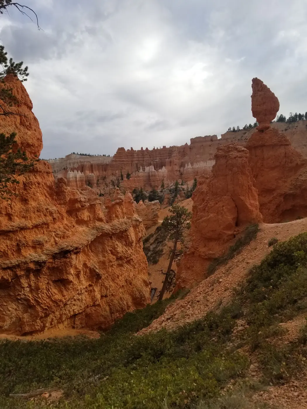 Thor's Hammer, a balanced hoodoo on the Navajo Loop trail in Bryce Canyon