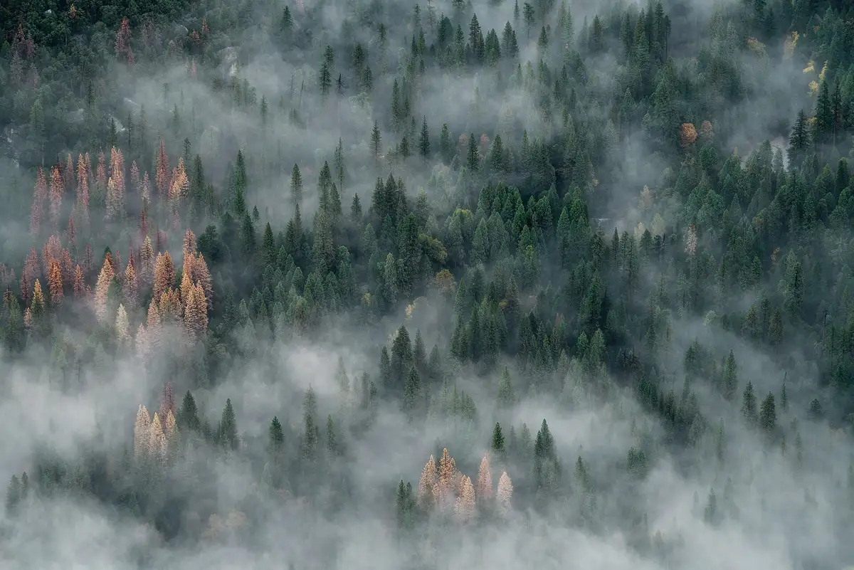 Second night in Yosemite Valley