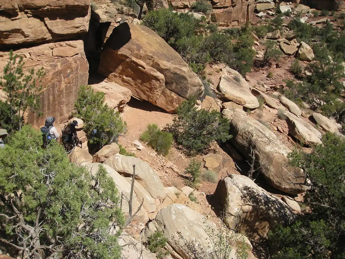 Best Time to Visit the Canyonlands Needles District