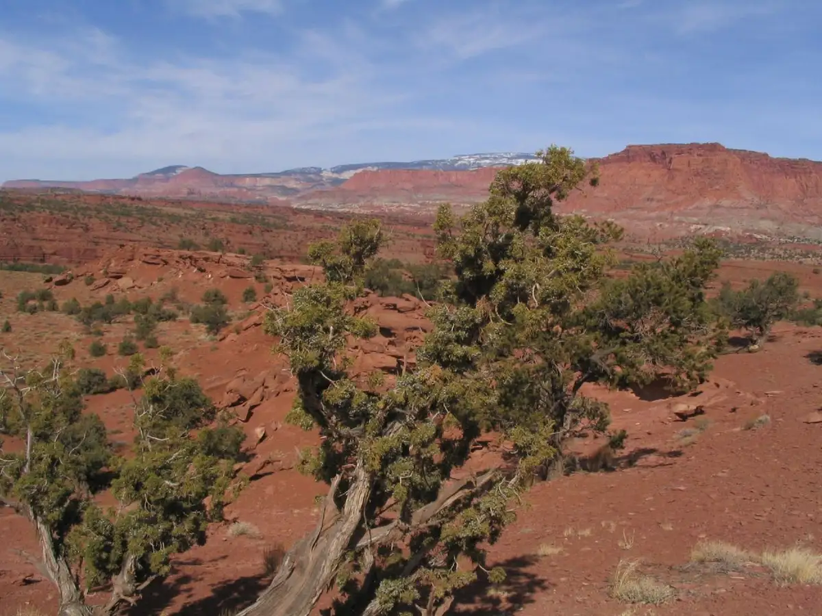 Sunset Point & Goosenecks Overlook