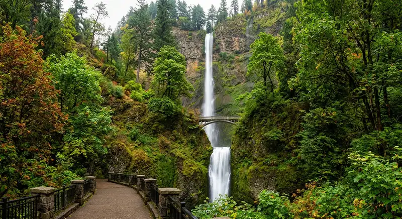 Columbia River Gorge Hiking Guide: Best Trails and Waterfalls Near Portland