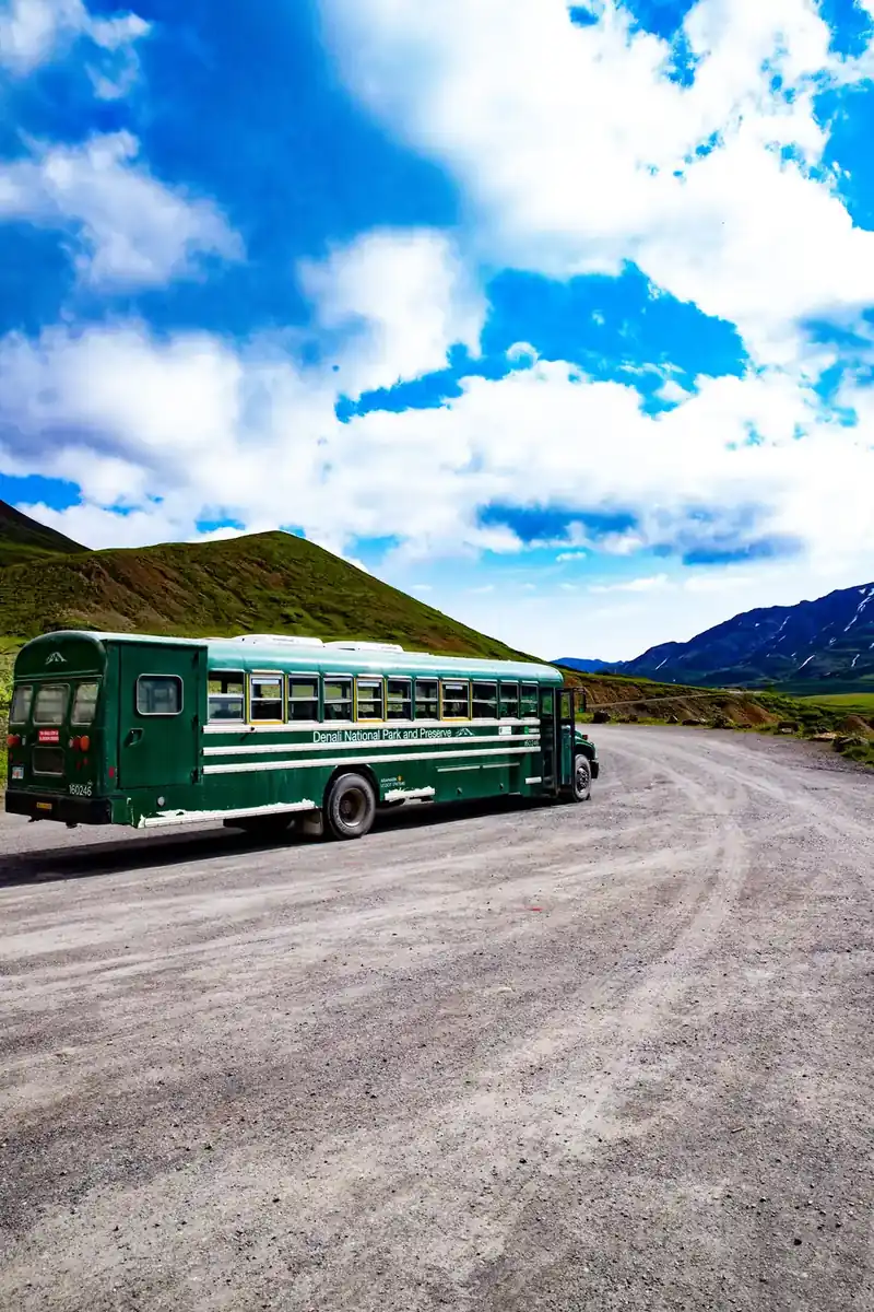 A green Denali National Park transit bus parked on the gravel Park Road