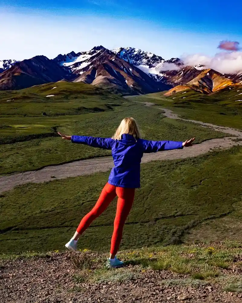 Open tundra and the Alaska Range from the Denali Park Road
