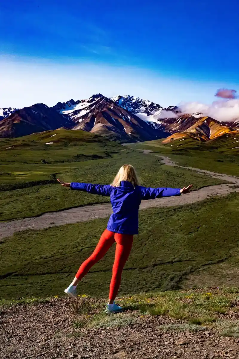 Open tundra and the peaks of the Alaska Range