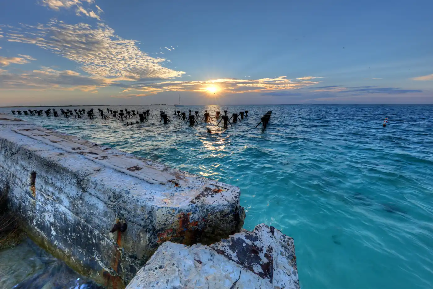 The coaling dock pilings