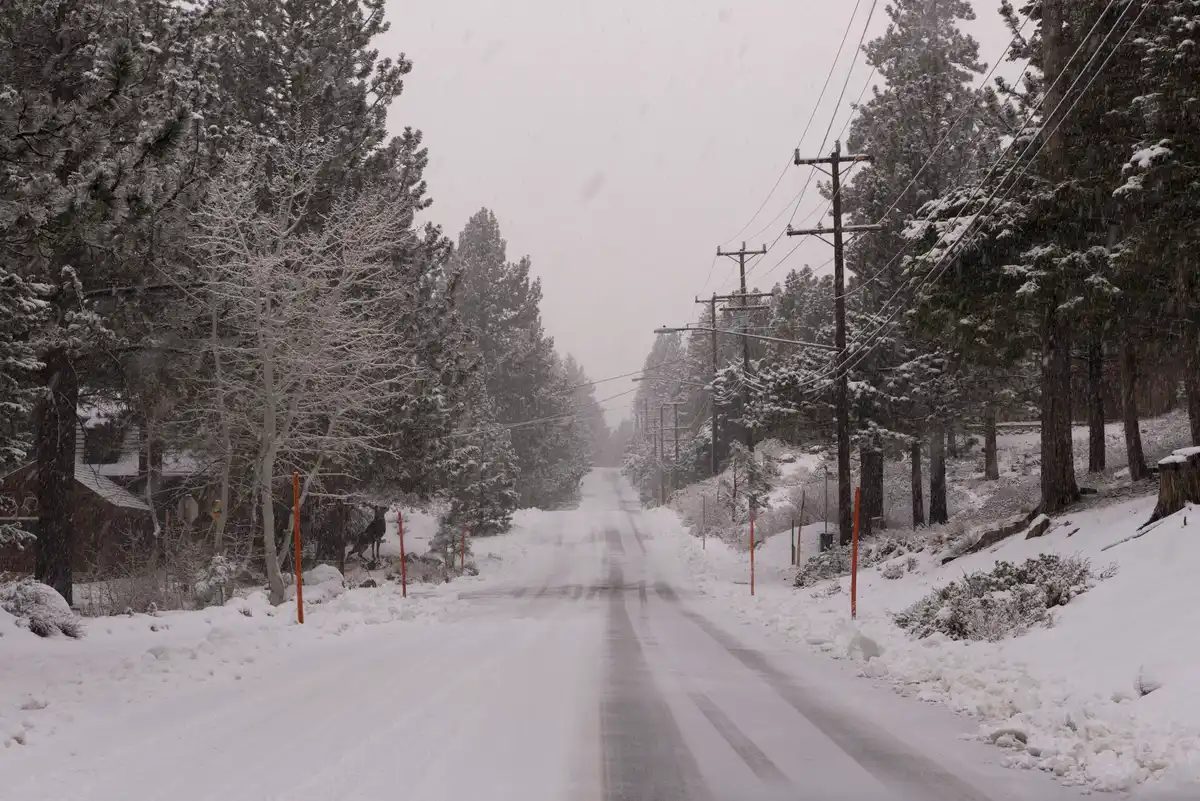 Shuttle back to Mammoth Lakes