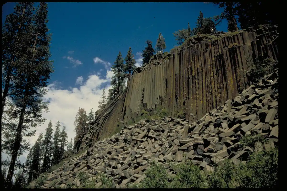 Shuttle to Devils Postpile