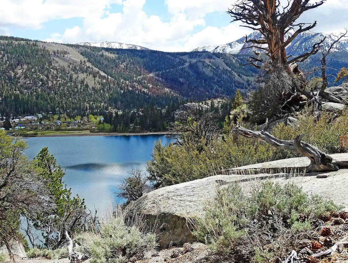 Paddle June Lake