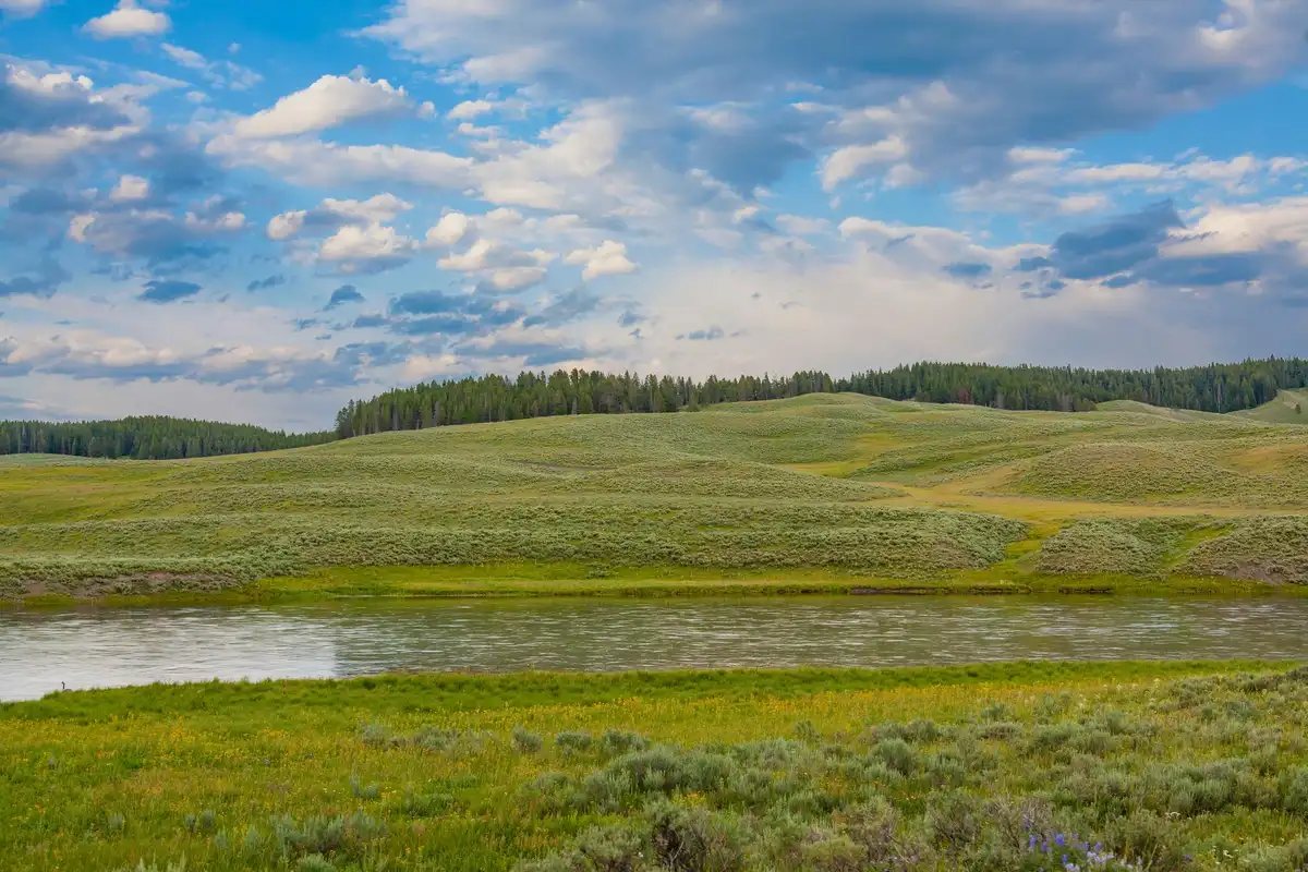 Hayden Valley