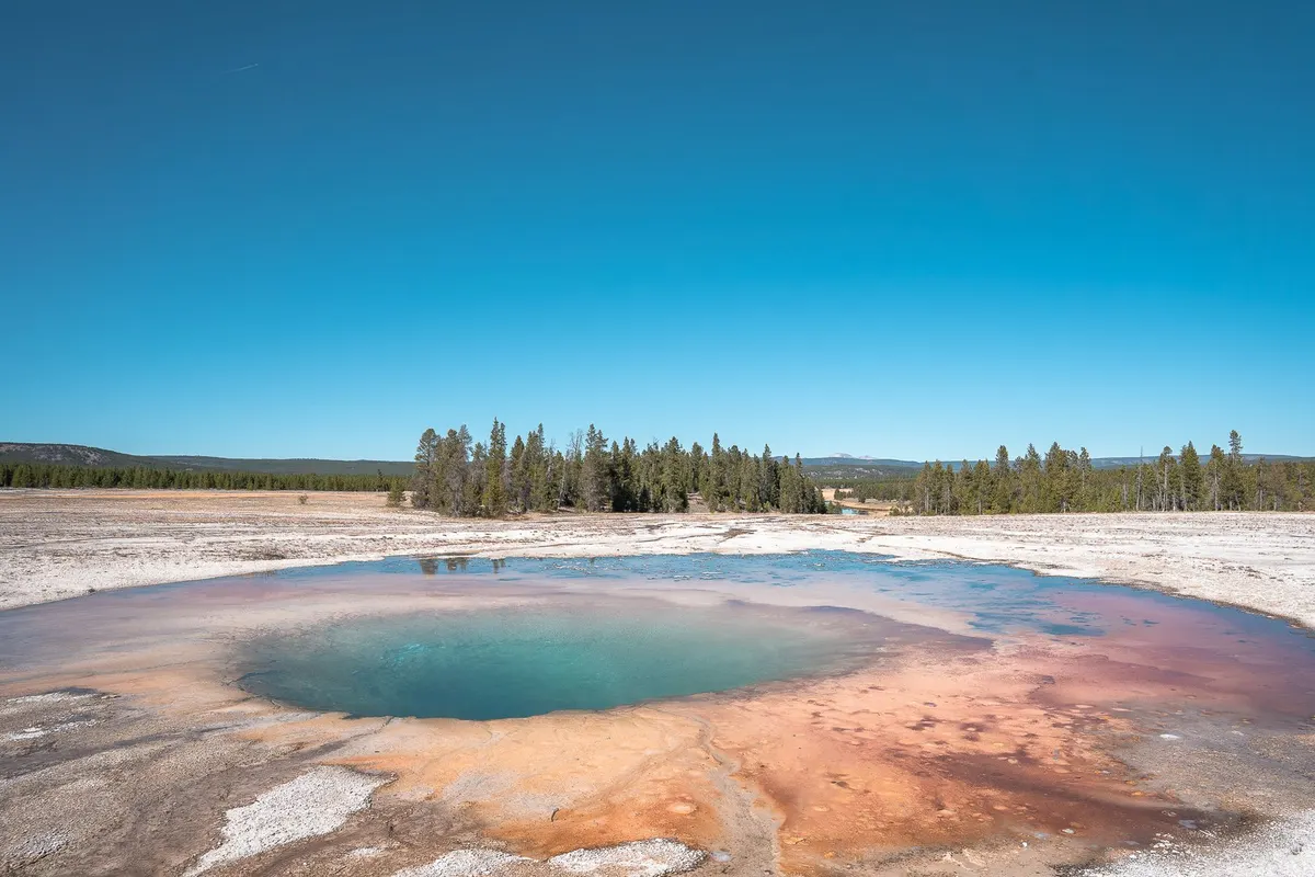 Mammoth Hot Springs