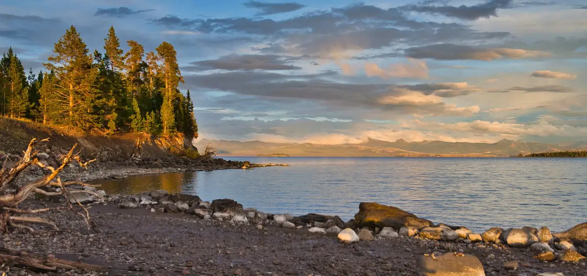 The shore of Yellowstone Lake at sunset