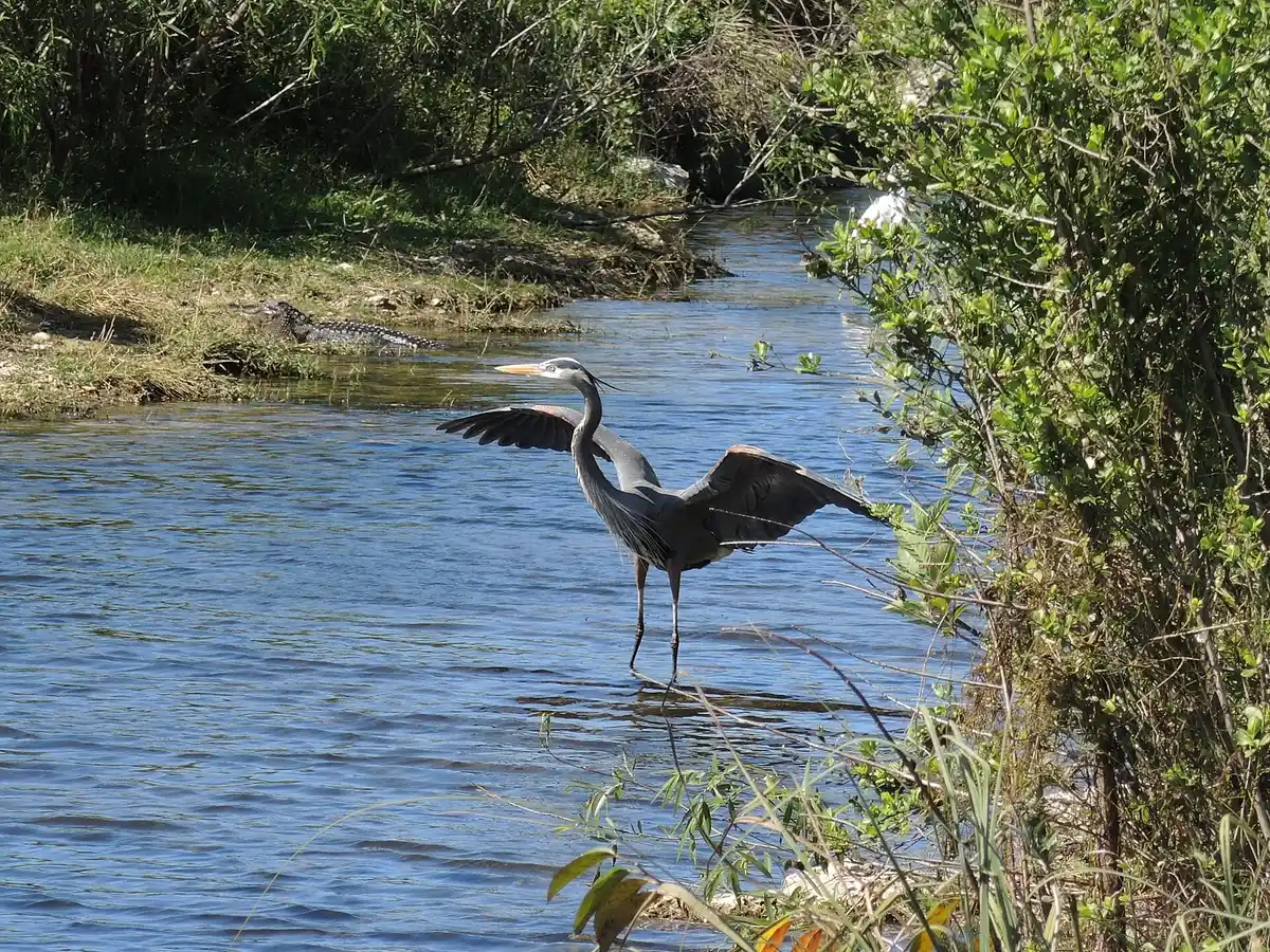 Oasis Visitor Center · Florida Trail southern terminus