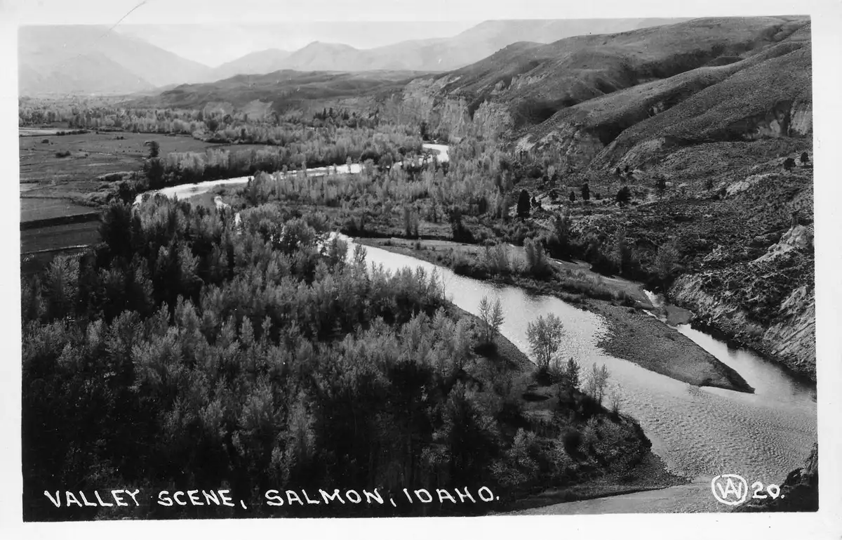 Check into Salmon lodging, Limited motels & B&Bs · book well ahead