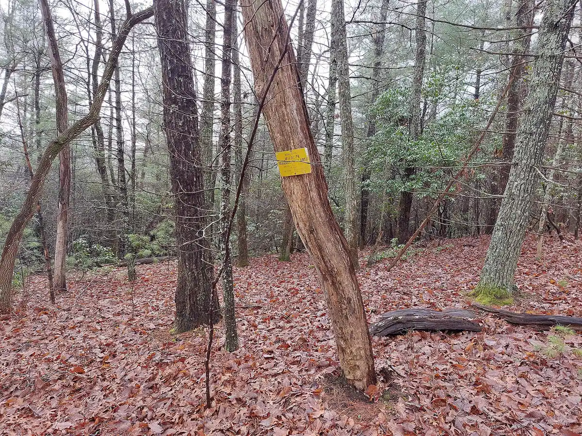 Overnight at Hawk Mountain Shelter