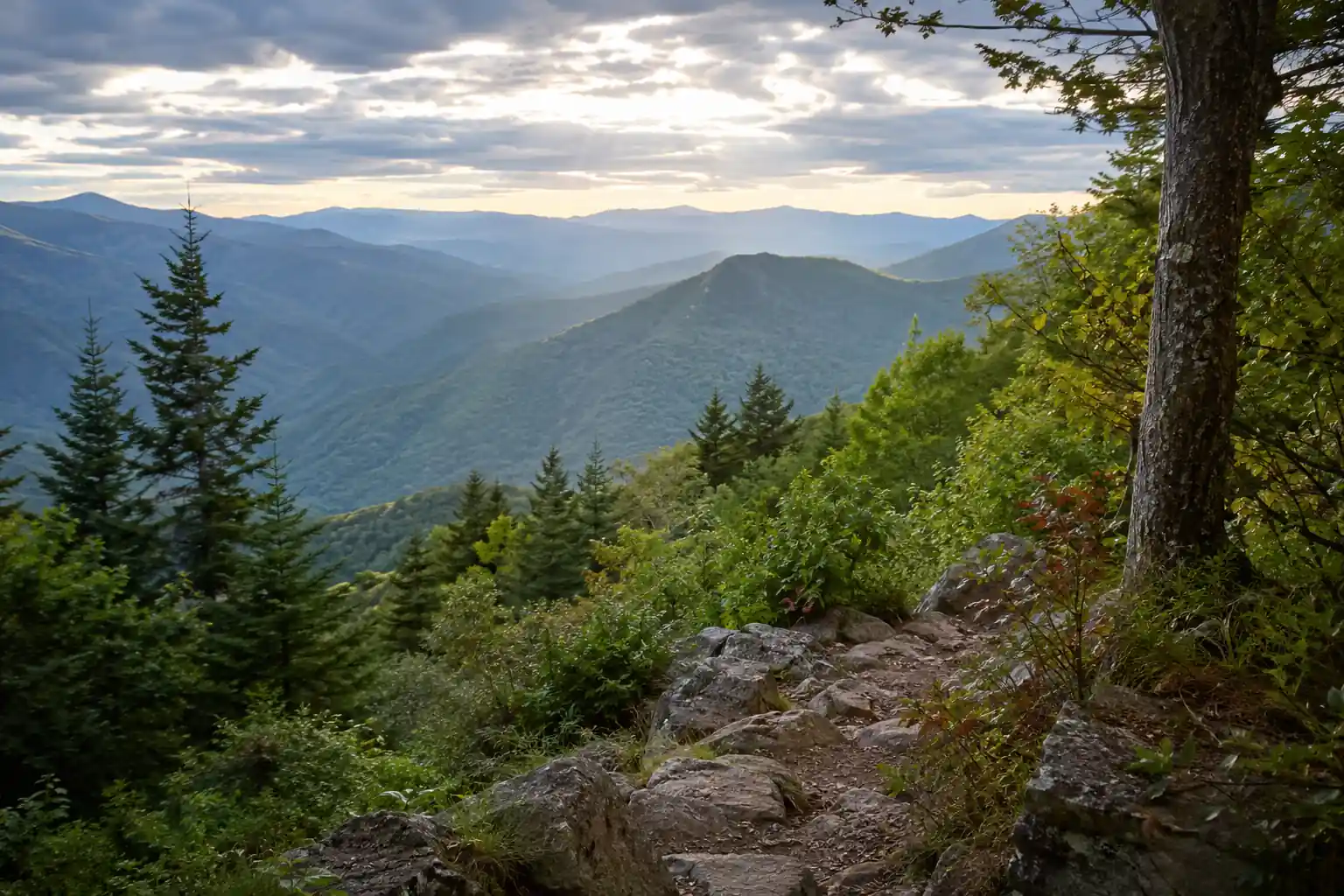 Georgia Appalachian Trail: 7-Day Backpacking from Springer to Bly Gap