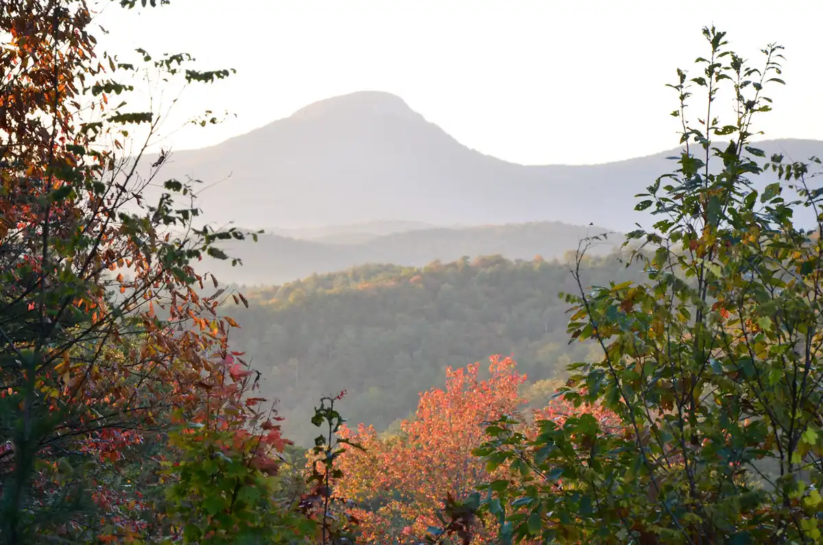 Rolling ridges and gaps through the Chattahoochee National Forest Deep forest along the Appalachian Trail in the Chattahoochee National Forest