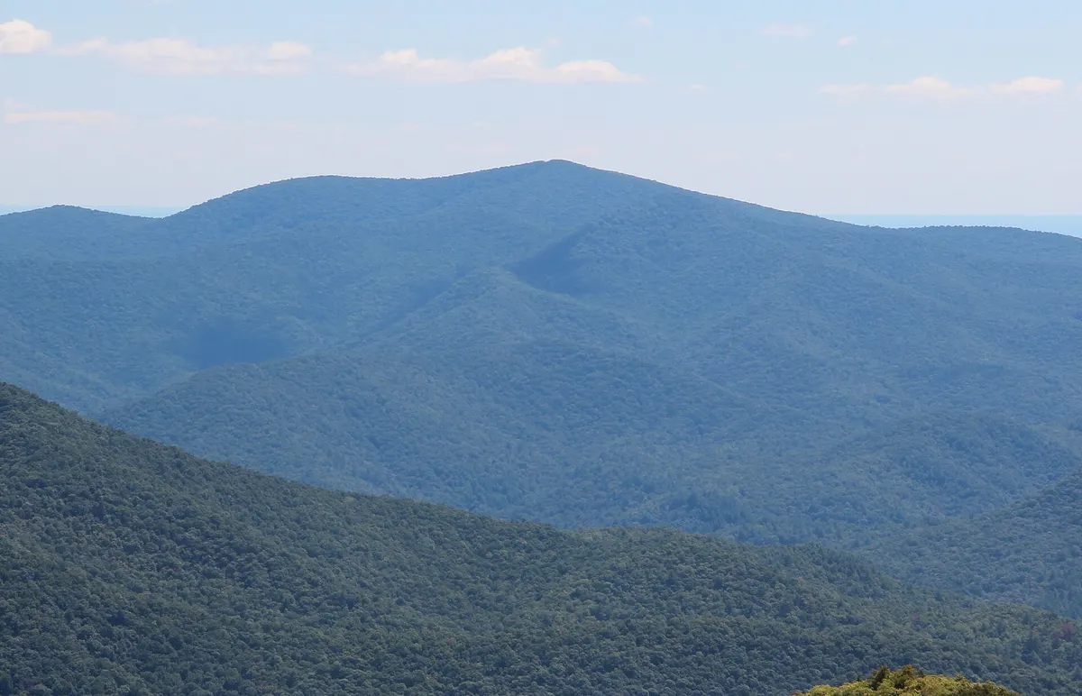 Tray Mountain · open summit views