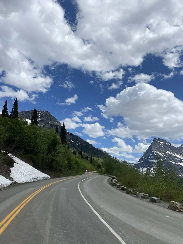 The alpine section